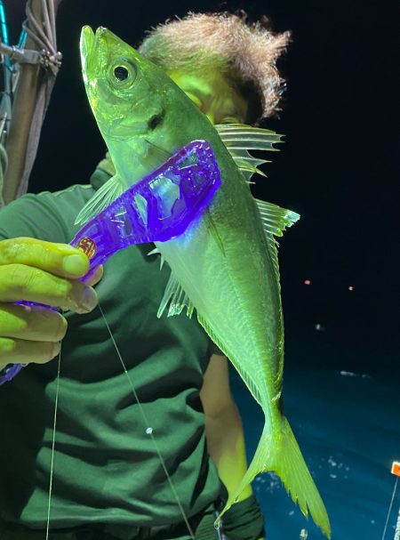 あみや渡船 JIGBOY 釣果