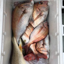 フィッシング キッタカ 釣果