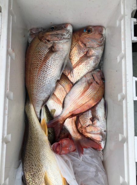 フィッシング キッタカ 釣果