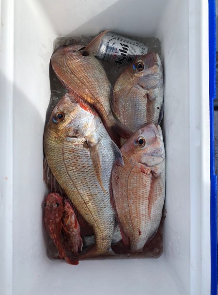 フィッシング キッタカ 釣果