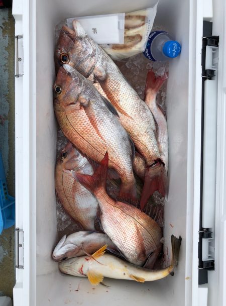 フィッシング　キッタカ 釣果