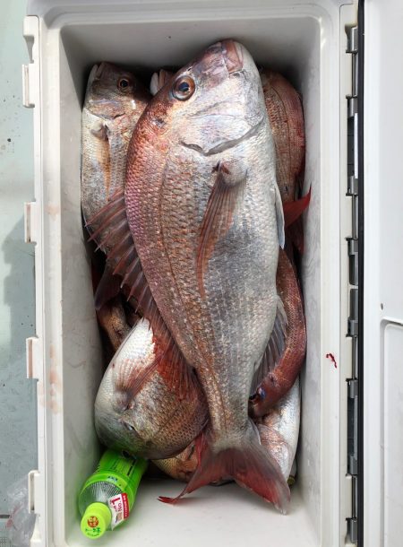 フィッシング キッタカ 釣果