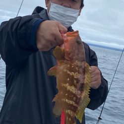 あみや渡船 JIGBOY 釣果