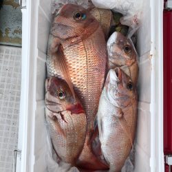 フィッシング　キッタカ 釣果