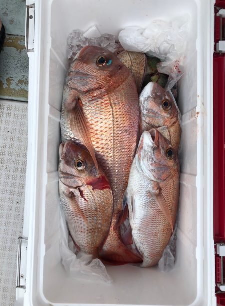 フィッシング　キッタカ 釣果