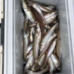 フィッシング　キッタカ 釣果