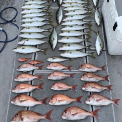 SeaRide(シーライド) 釣果