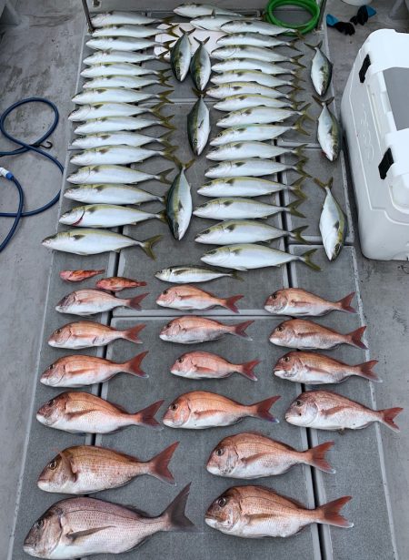 SeaRide(シーライド) 釣果