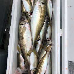 フィッシング　キッタカ 釣果