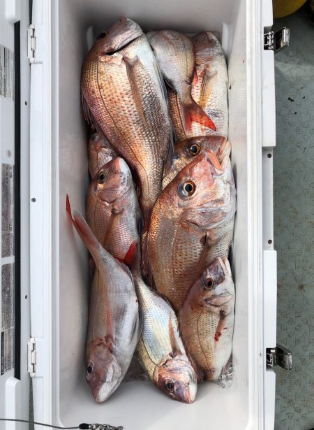 フィッシング キッタカ 釣果