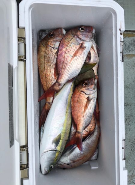 フィッシング　キッタカ 釣果