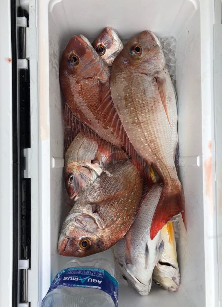 フィッシング キッタカ 釣果