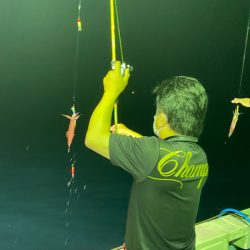 あみや渡船 JIGBOY 釣果