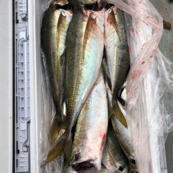 フィッシング キッタカ 釣果