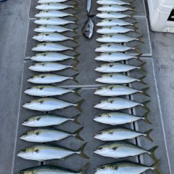 SeaRide(シーライド) 釣果