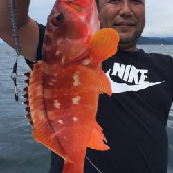 渡船屋たにぐち 釣果