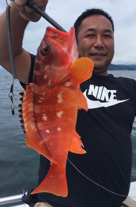 渡船屋たにぐち 釣果