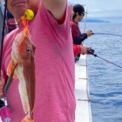 あみや渡船 JIGBOY 釣果