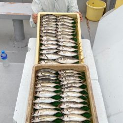 釣人家 釣果