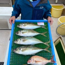 釣人家 釣果
