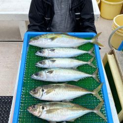 釣人家 釣果