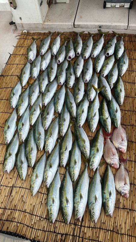 釣人家 釣果