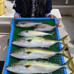 釣人家 釣果