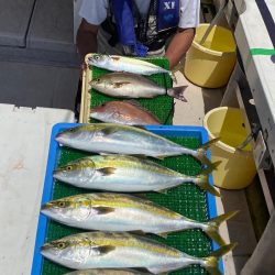釣人家 釣果