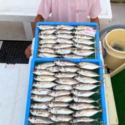 釣人家 釣果