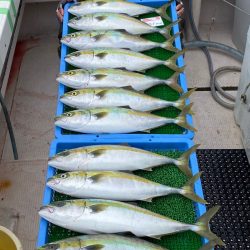 釣人家 釣果