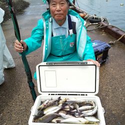 佐衛美丸 釣果