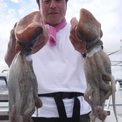 JDI Racing シールズマリンレジャー 釣果