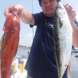 JDI Racing シールズマリンレジャー 釣果