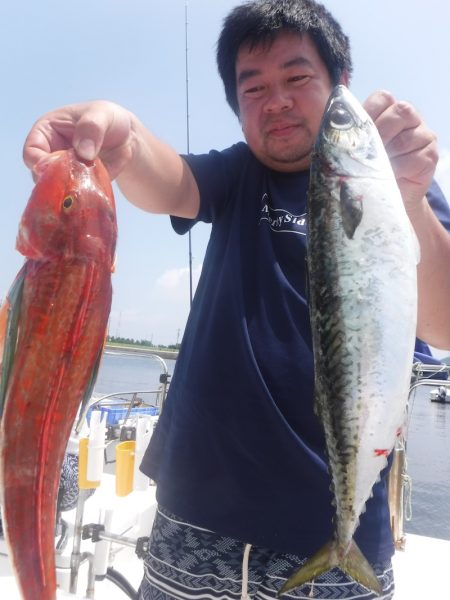 JDI Racing シールズマリンレジャー 釣果