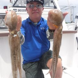 JDI Racing シールズマリンレジャー 釣果