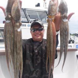 JDI Racing シールズマリンレジャー 釣果