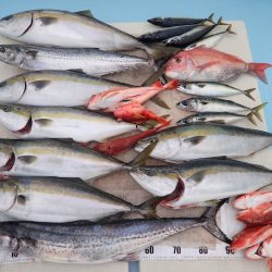 水天丸 釣果