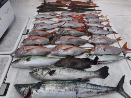 ＪＤＩ　Ｒａｃｉｎｇ　シールズマリンレジャ…