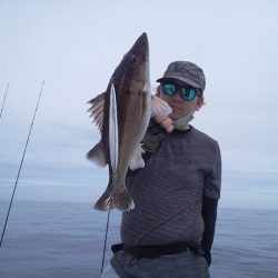 ひな丸 釣果