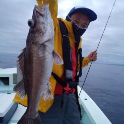 ひな丸 釣果