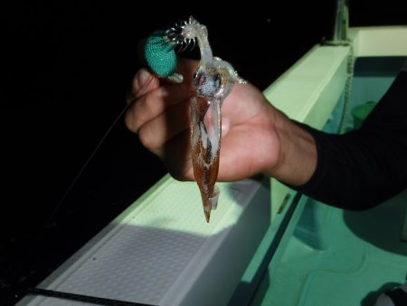 BlueNote Fishing Taxi 釣果