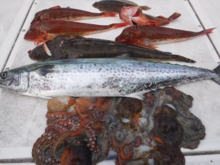 ＪＤＩ　Ｒａｃｉｎｇ　シールズマリンレジャ…