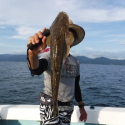 BlueNote Fishing Taxi 釣果