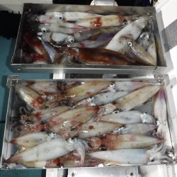 BlueNote Fishing Taxi 釣果