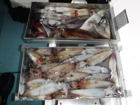 BlueNote Fishing Taxi 釣果