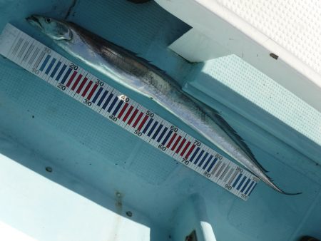 BlueNote Fishing Taxi 釣果