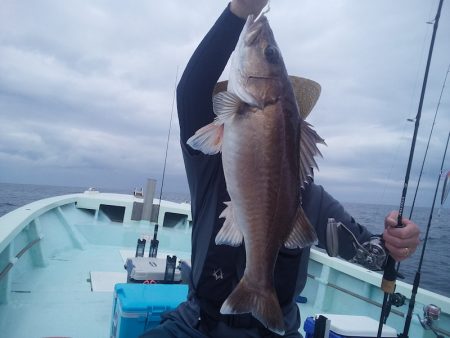 ひな丸 釣果