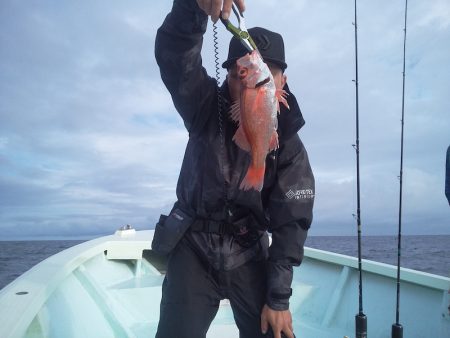 ひな丸 釣果
