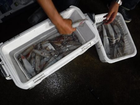 BlueNote Fishing Taxi 釣果