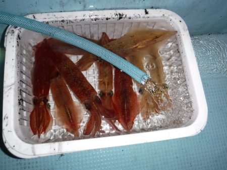 BlueNote Fishing Taxi 釣果